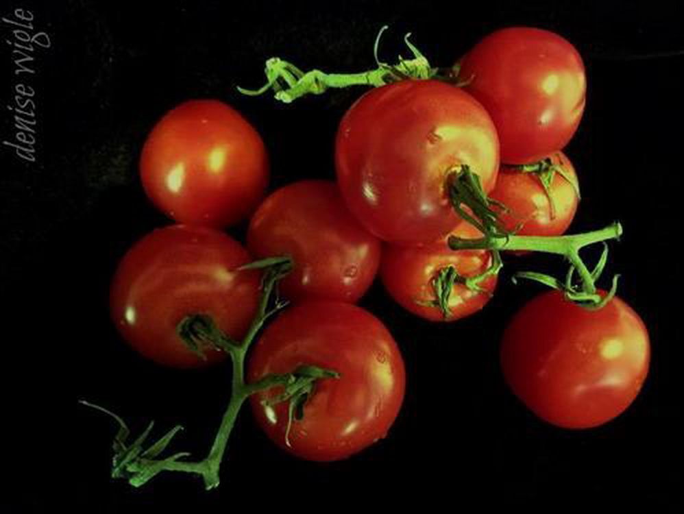 tomato.jpg