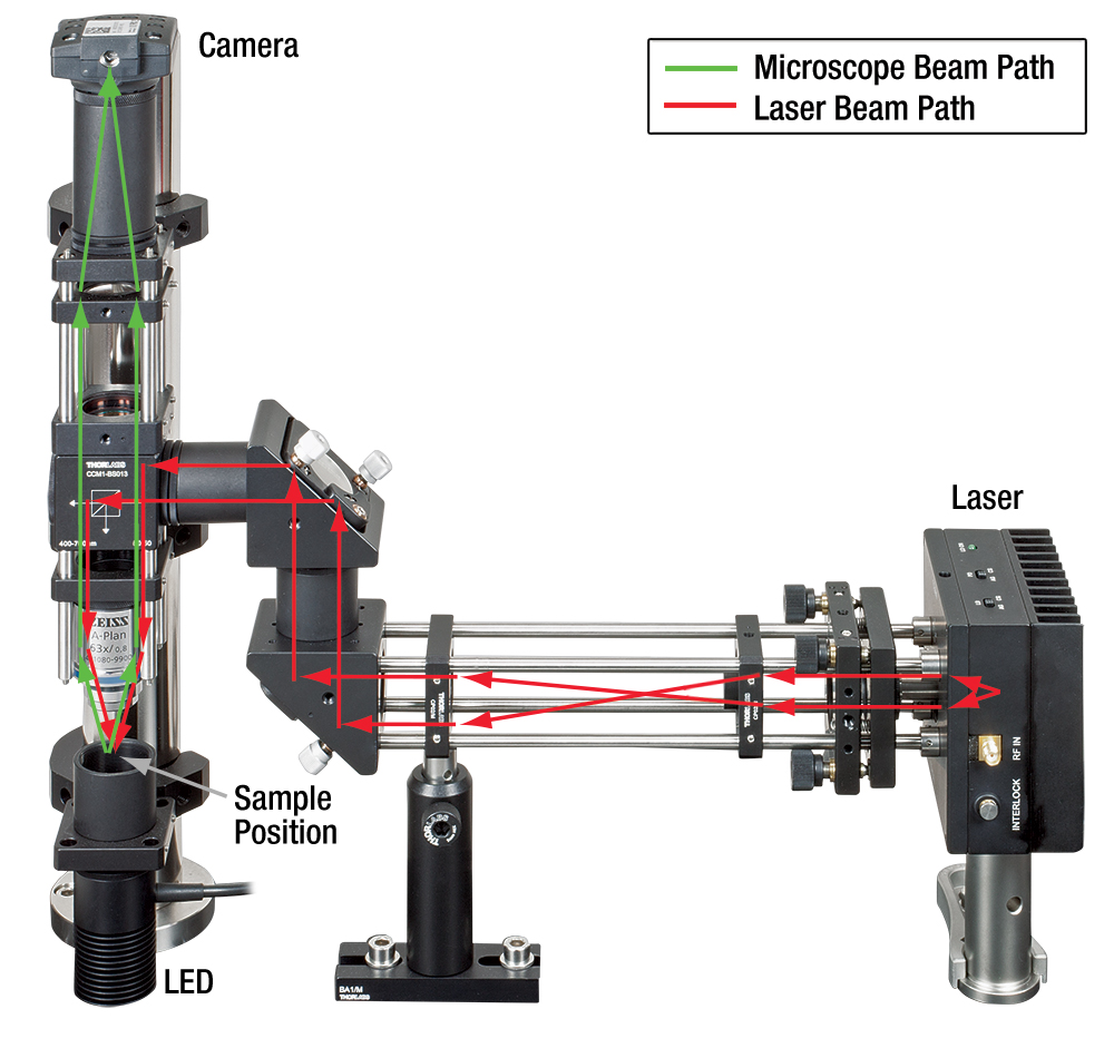 Optical_Tweezers_Education_A2-1000.jpg