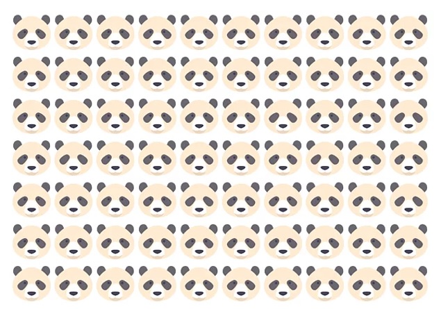panda.jpg