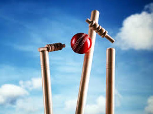 cricket image-201712150746.jpg