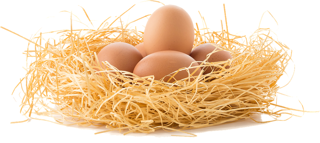drive-the-eggs-3070850__480.png
