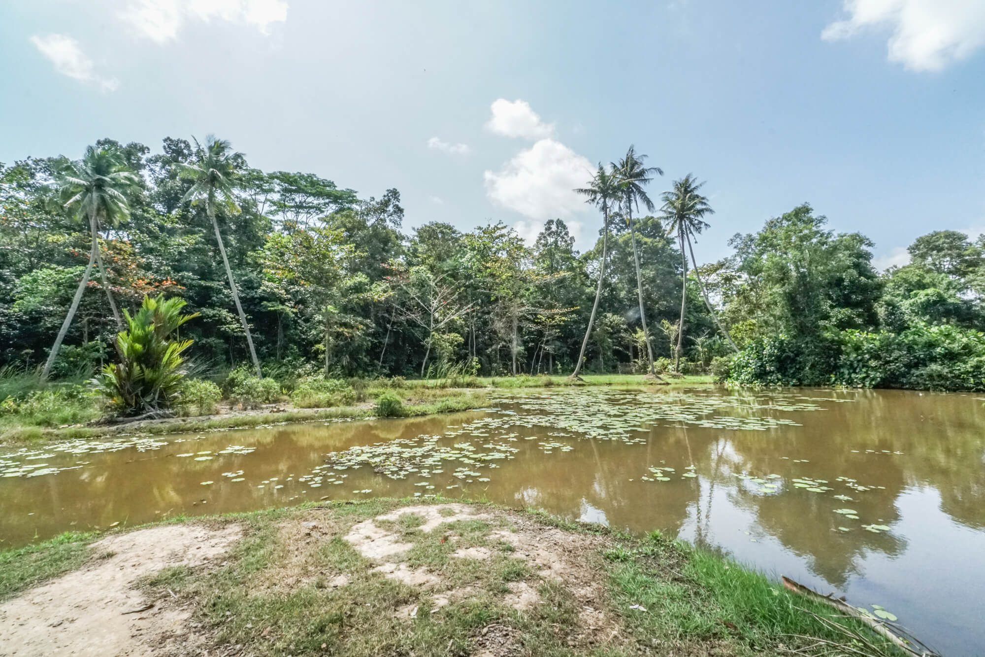 pulau-ubin-4.jpg