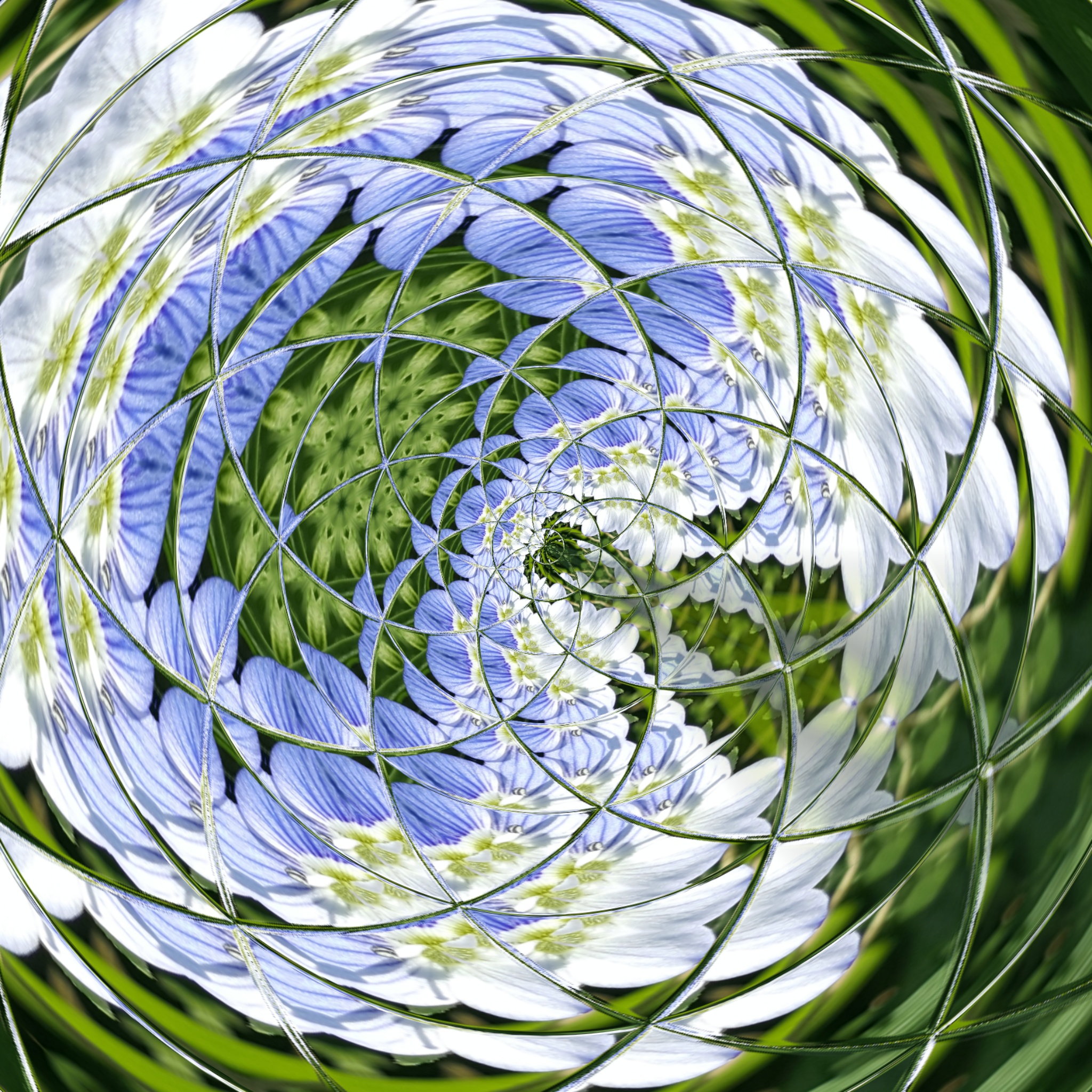 image%3A6452_mirror33.jpg