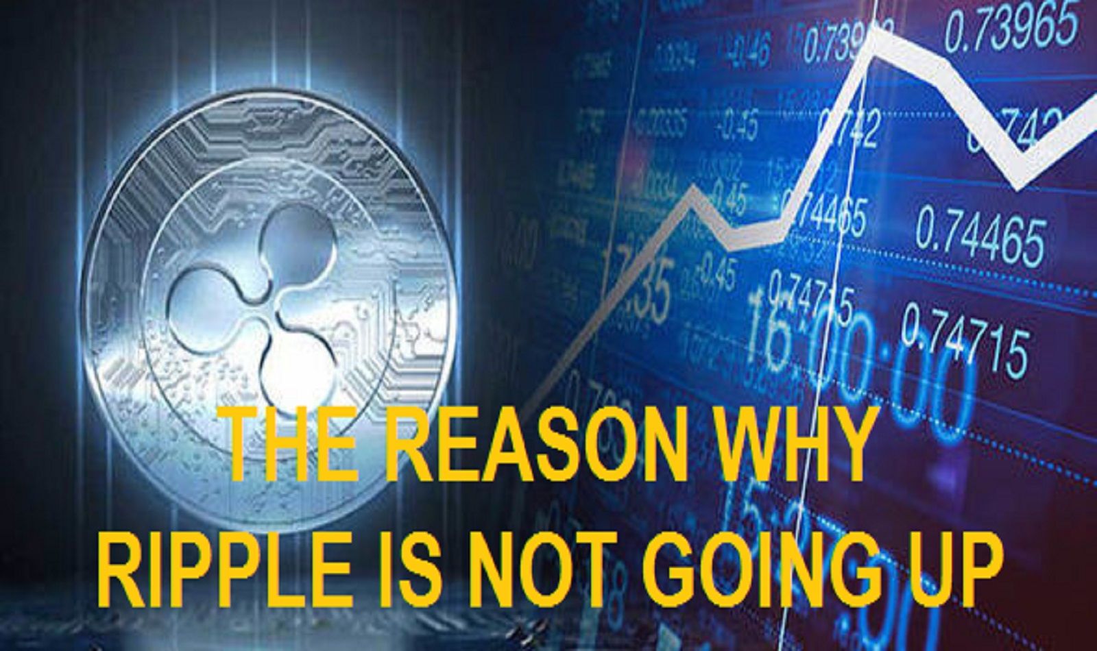 The Reason Why The Price Of Ripple Xrp Is Not Going Up Steemit
