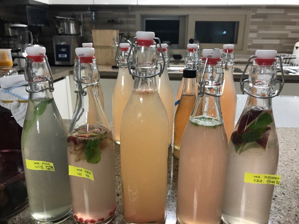 kombucha experiments.jpg