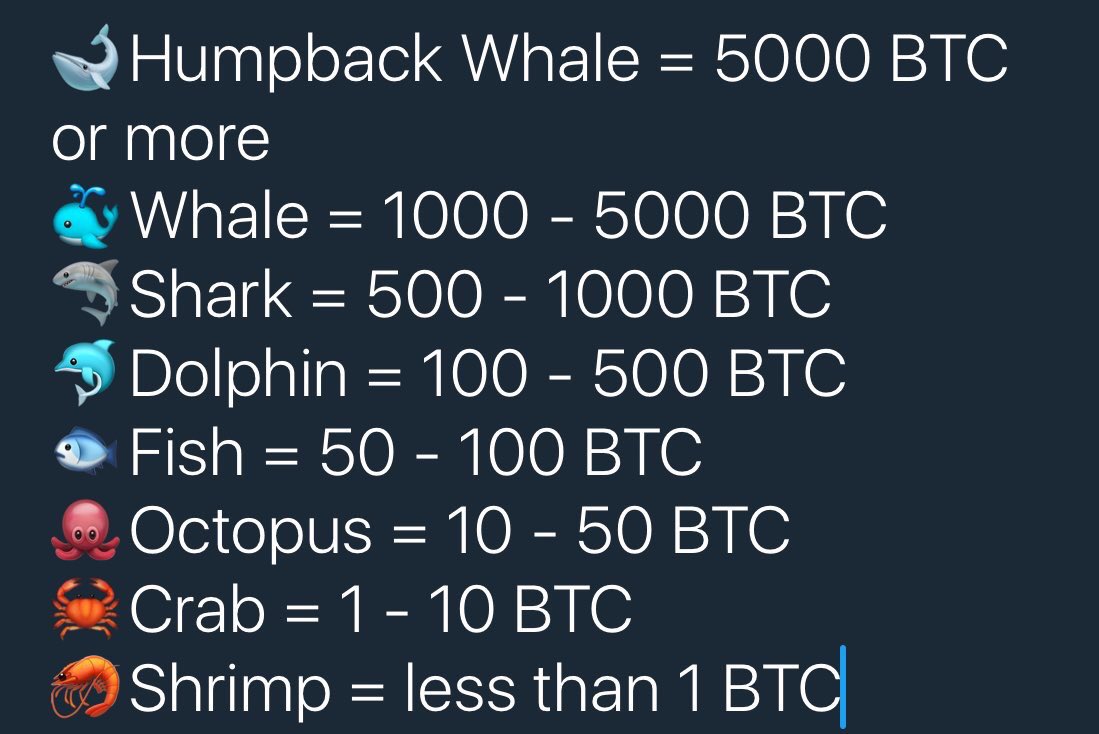 Whales.jpg