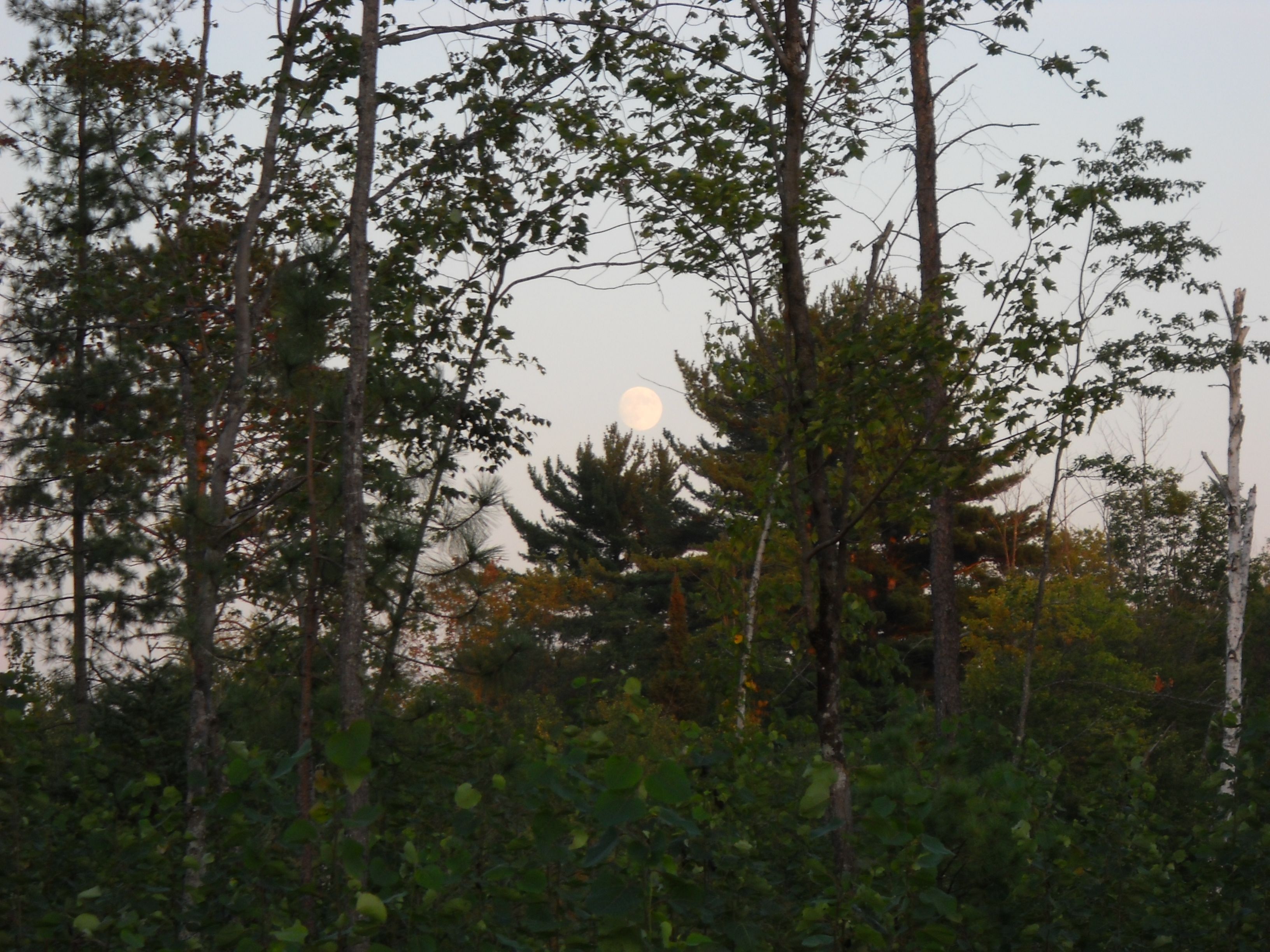 August full moon 8-22-10 003.jpg