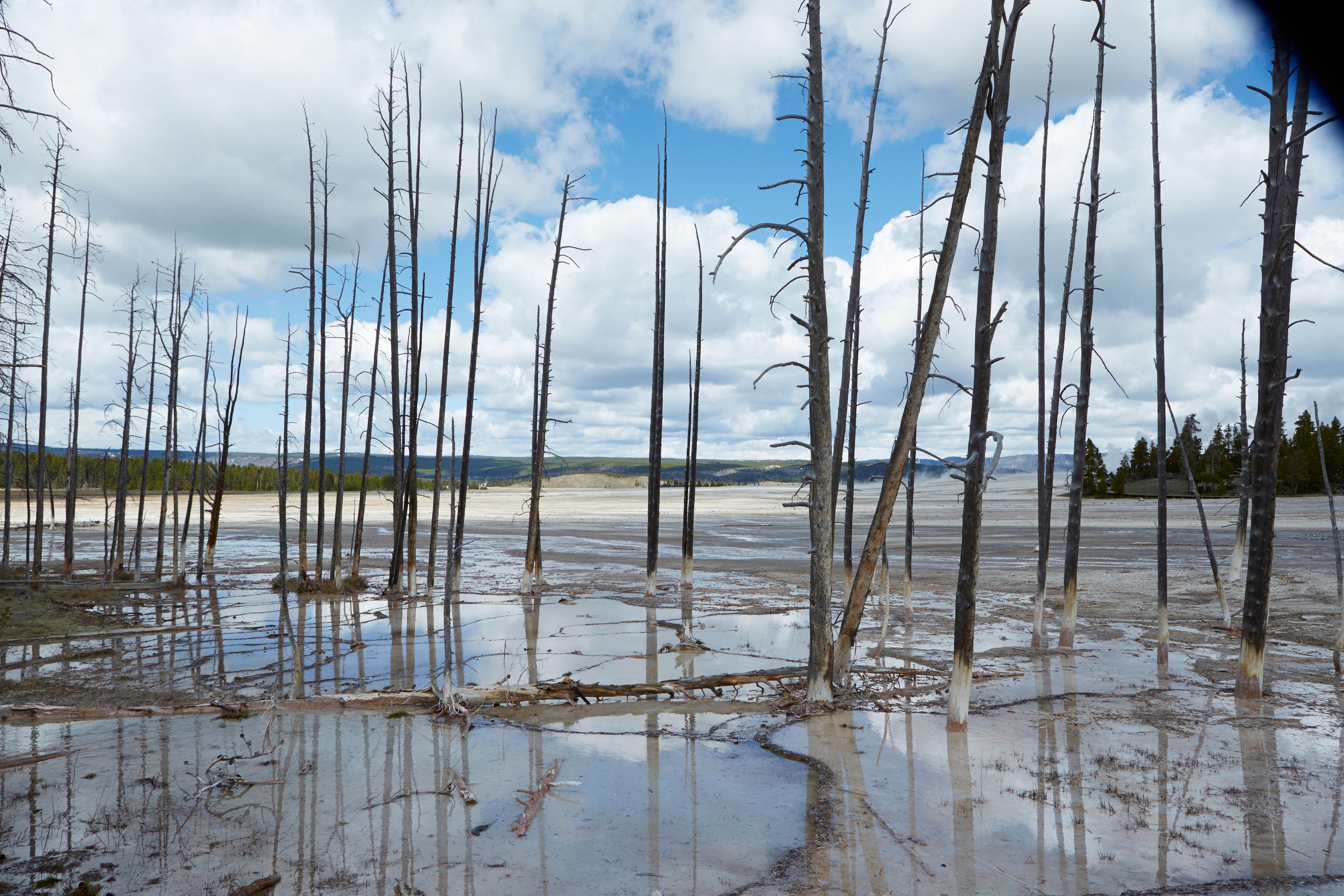 Yellowstone_053.jpg