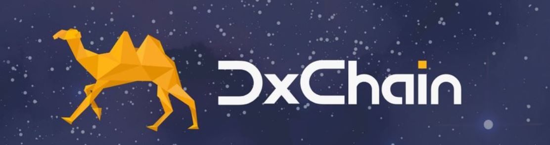 DX Chain3.JPG