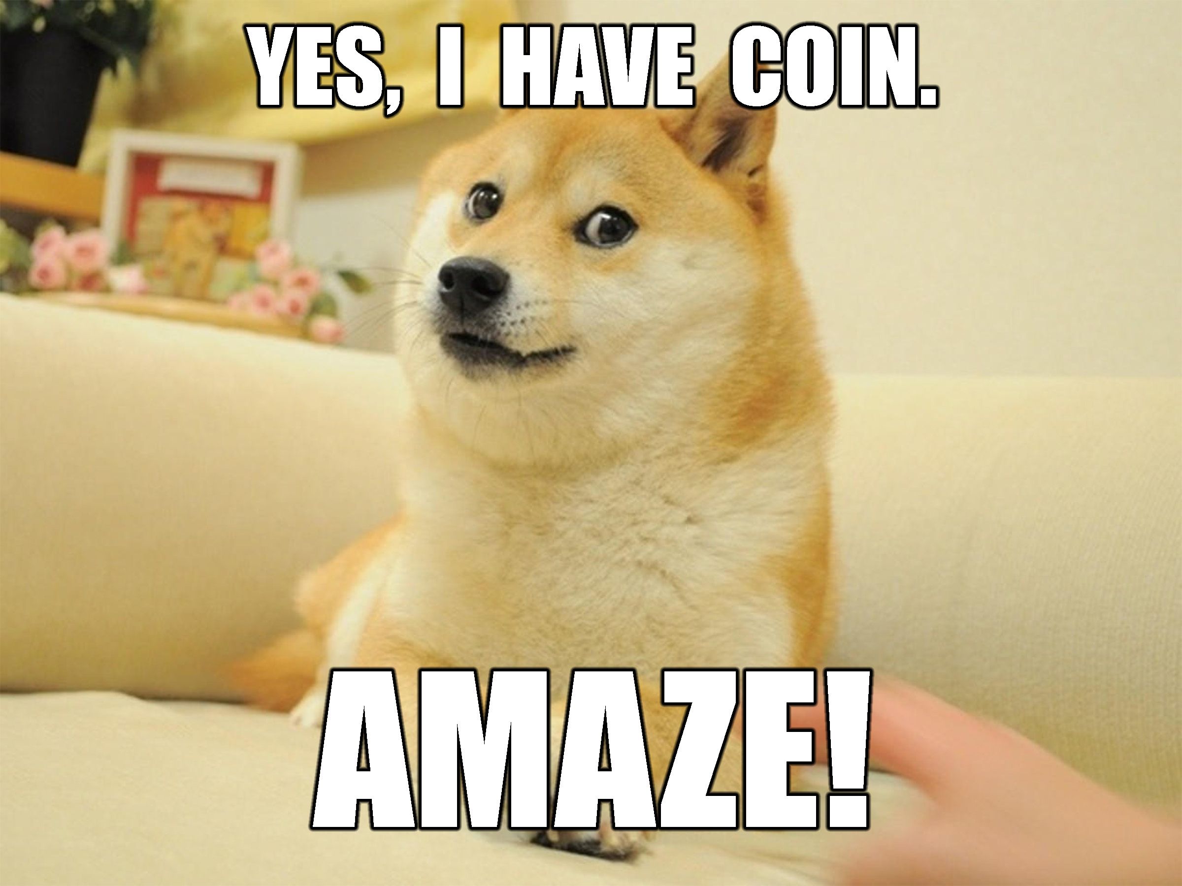 crypto_doge.jpg