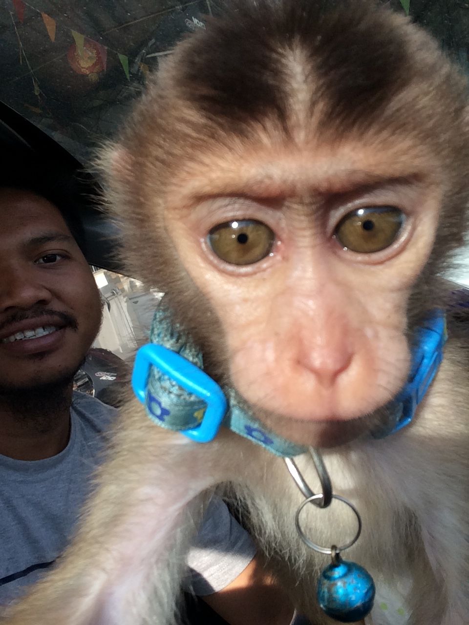 image.jpeg