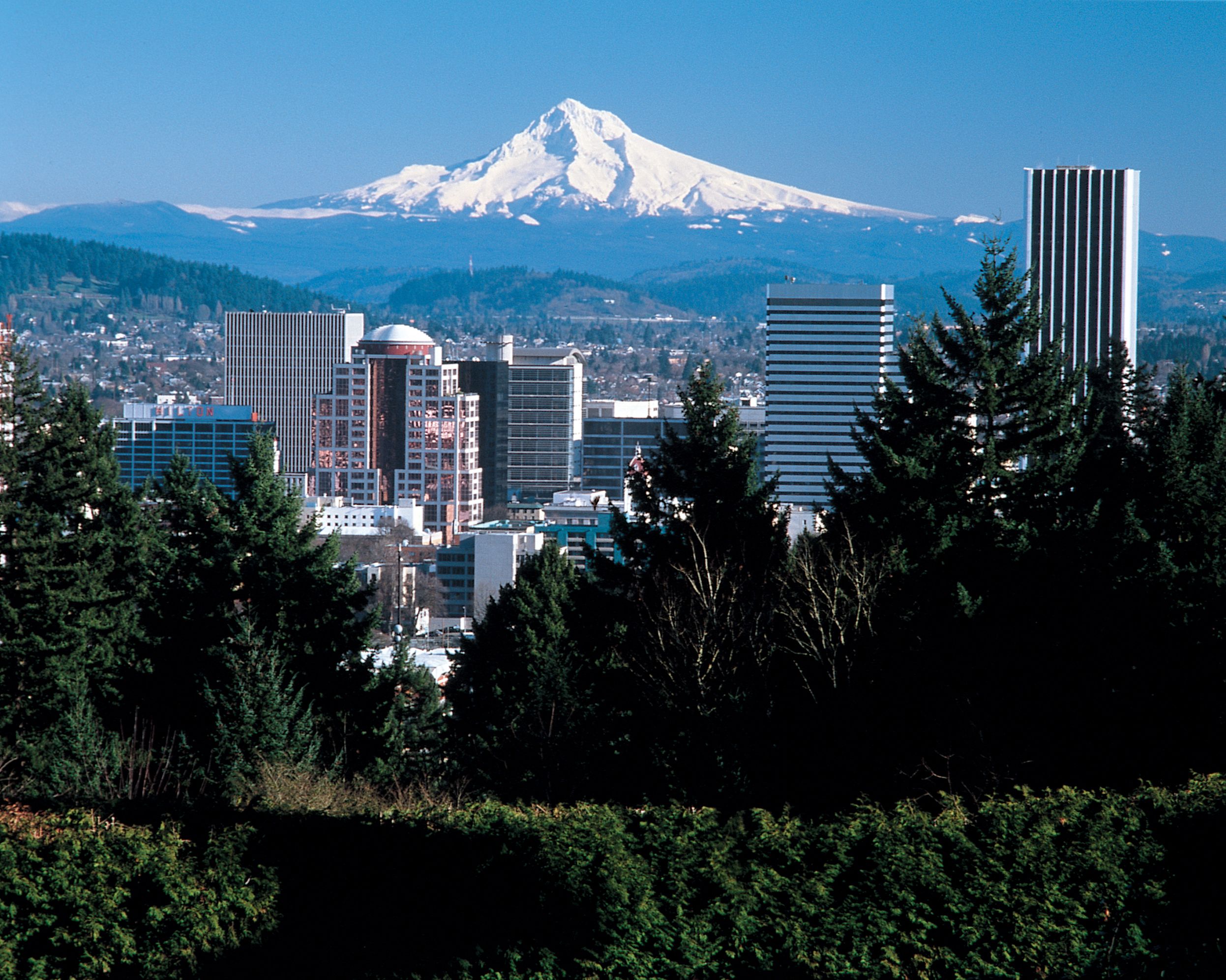 Cityxguide Tri Cities Washington