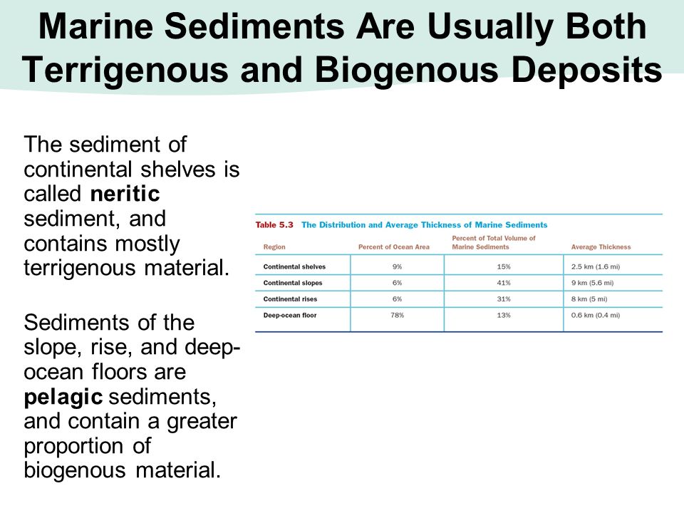 Marine+Sediments+Are+Usually+Both+Terrigenous+and+Biogenous+Deposits.jpg