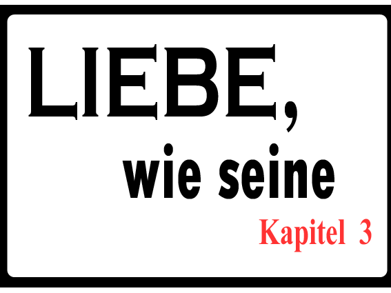 LOVE LIKE HIS  Liebe wie seine - Chapter 3  x Kapitel 3 - An Original Story by papa-pepper German by detlev and sunsea.png