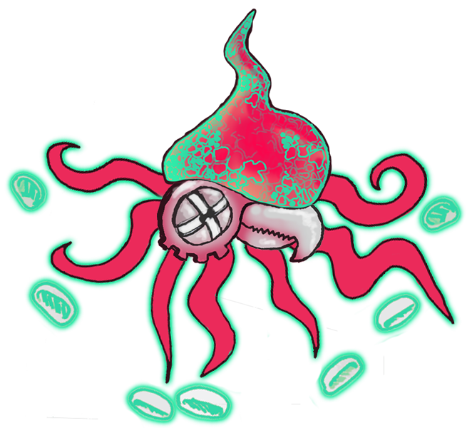 squid 2.png