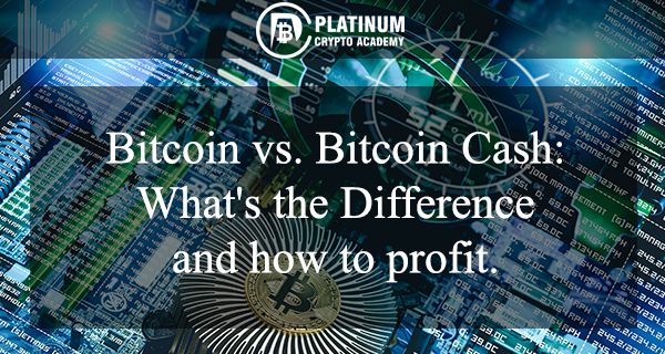 Bitcoin-vs.-Bitcoin-Cash-pca