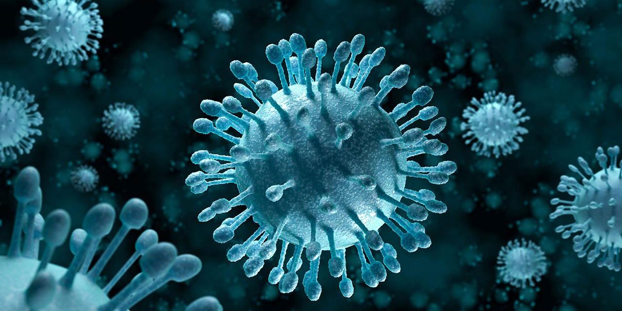 virus-1280x640.jpg