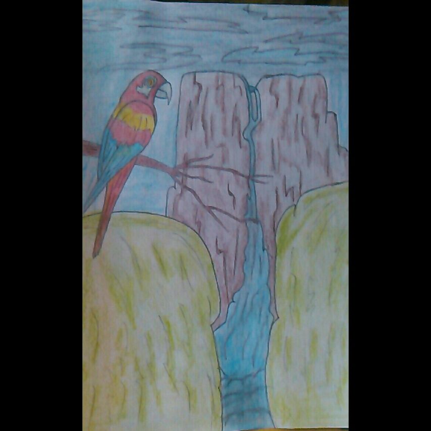 PhotoGrid_1521233479679.jpg