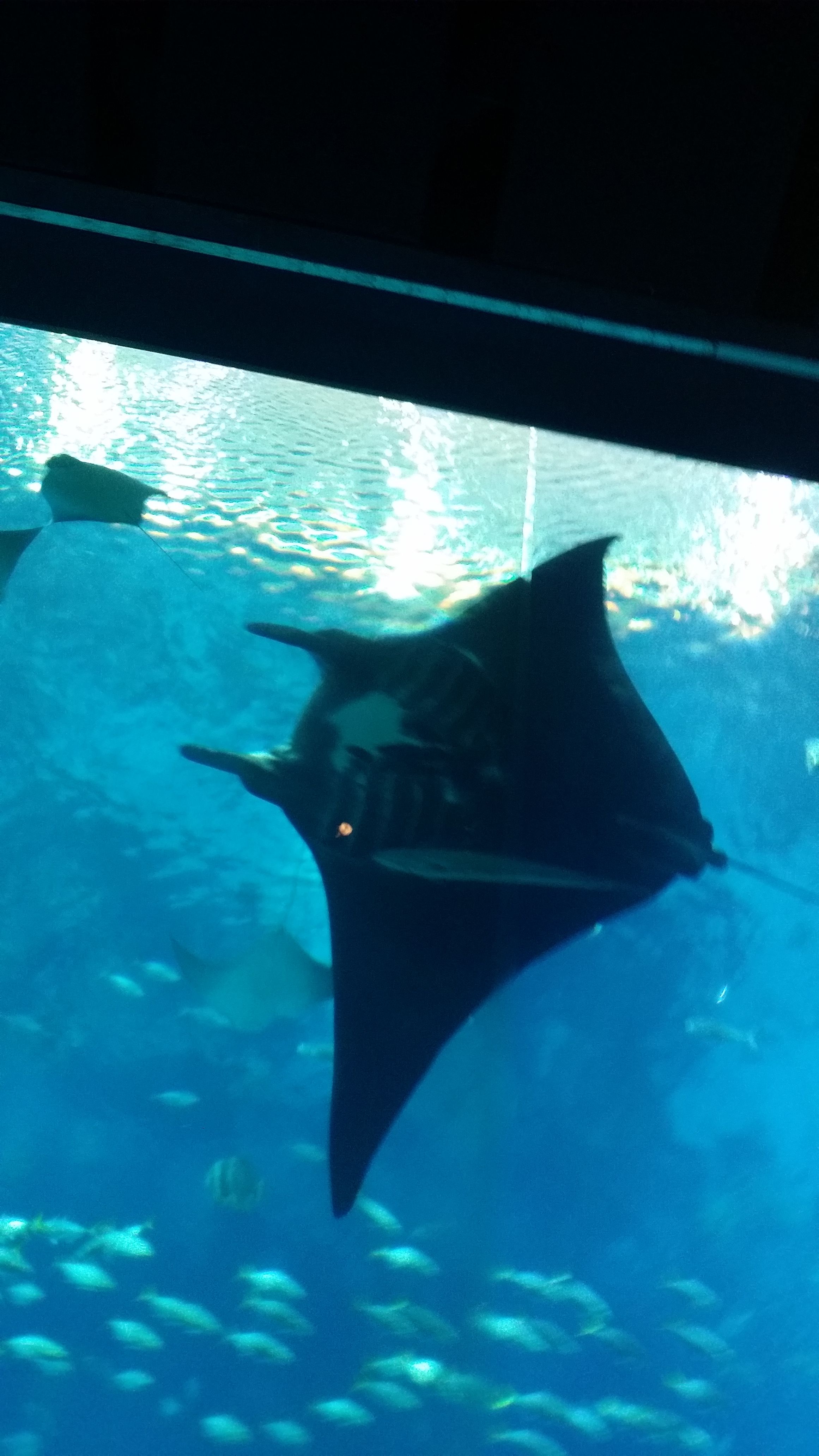 20160702_141038.jpg
