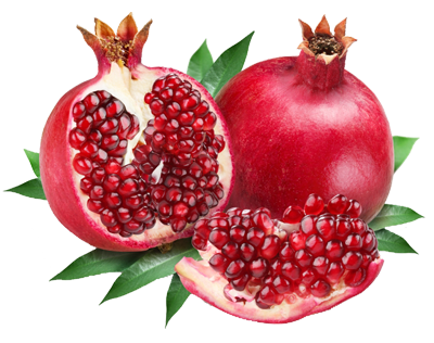 pomegranate_PNG8653.png