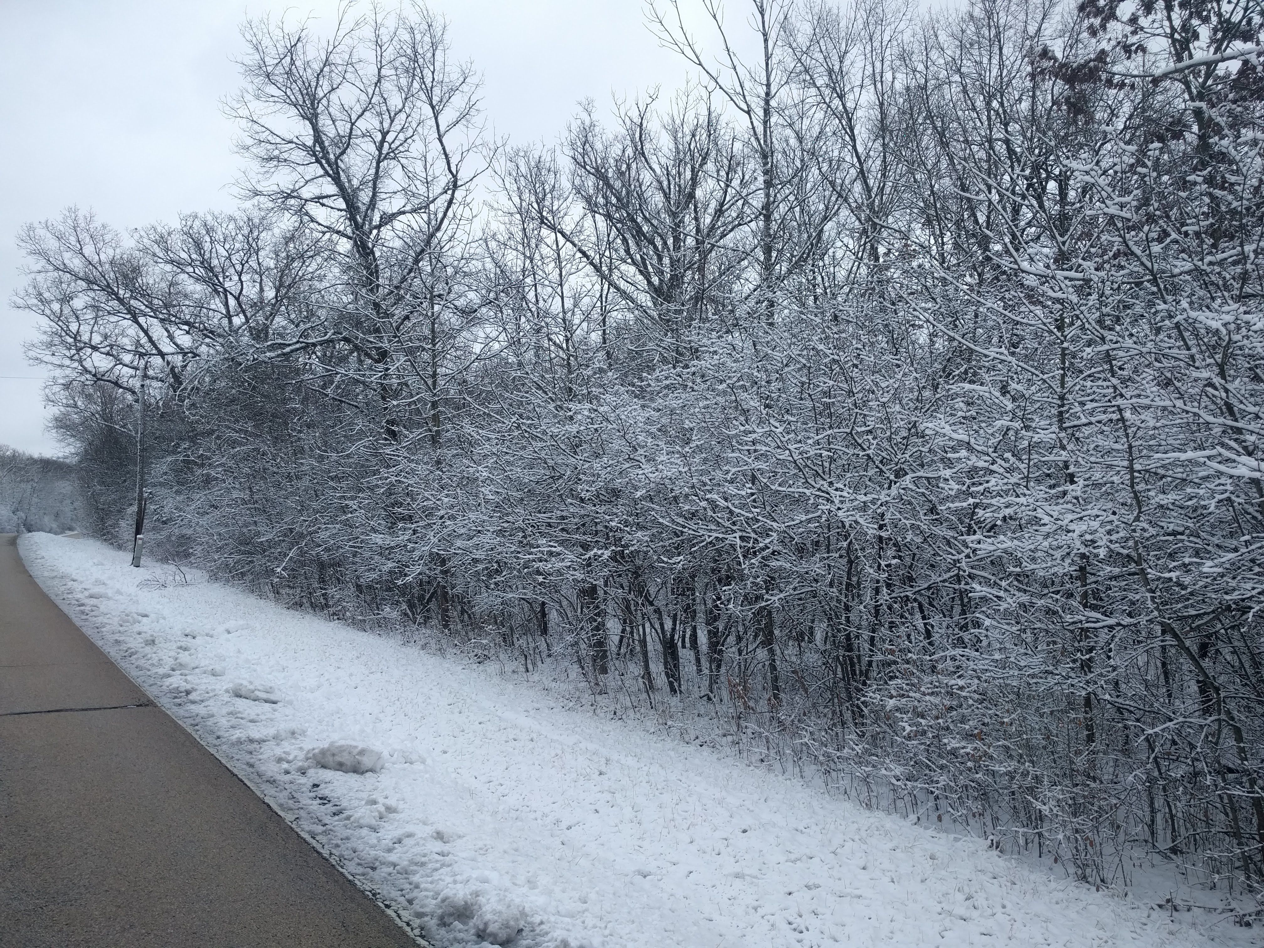 IMG_20180123_144429.jpg