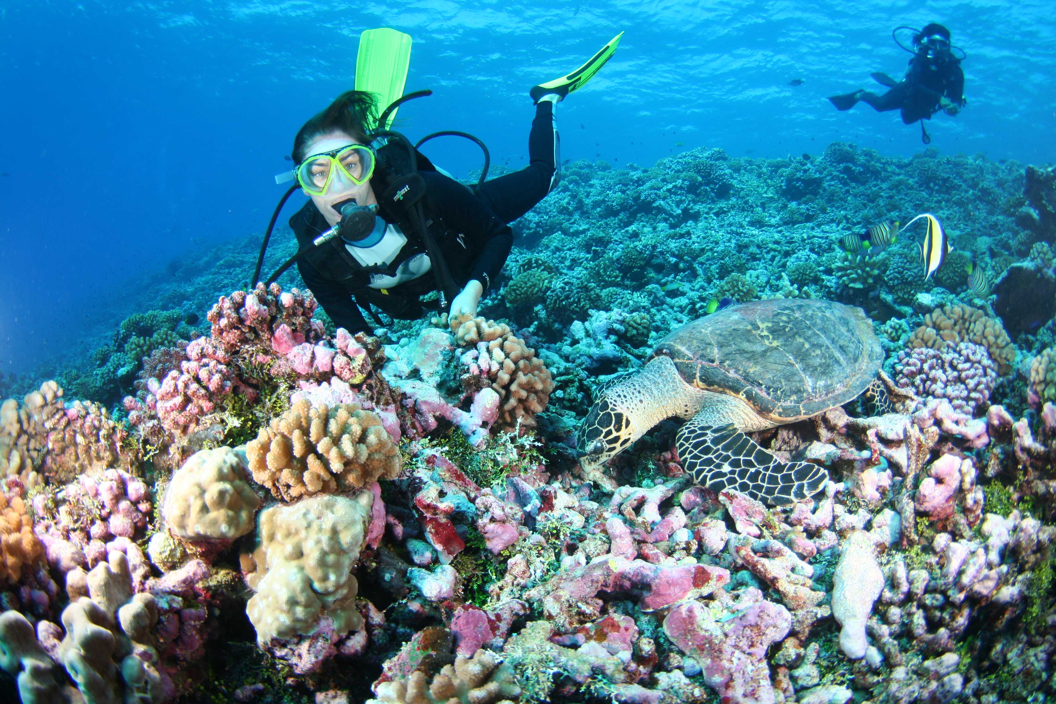 Scuba-diving-at-bora-bora-best-time-to-go-to-Bora-Bora.jpg