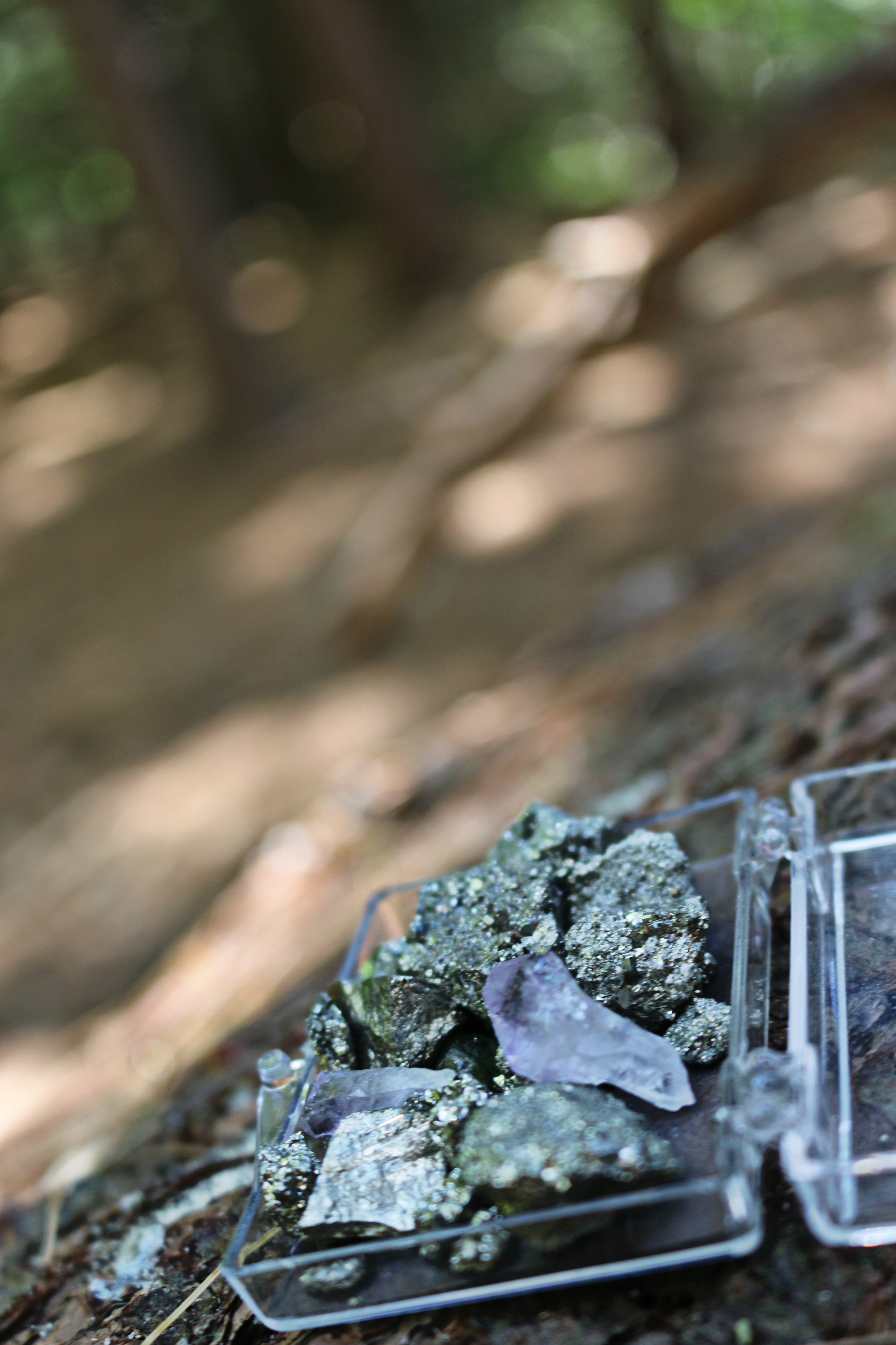 crystals and rocks for the trees.jpg