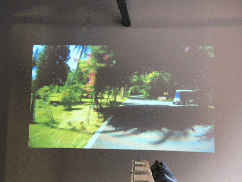 18E0B83E-DFC8-48AA-950A-D09092B4529D.gif
