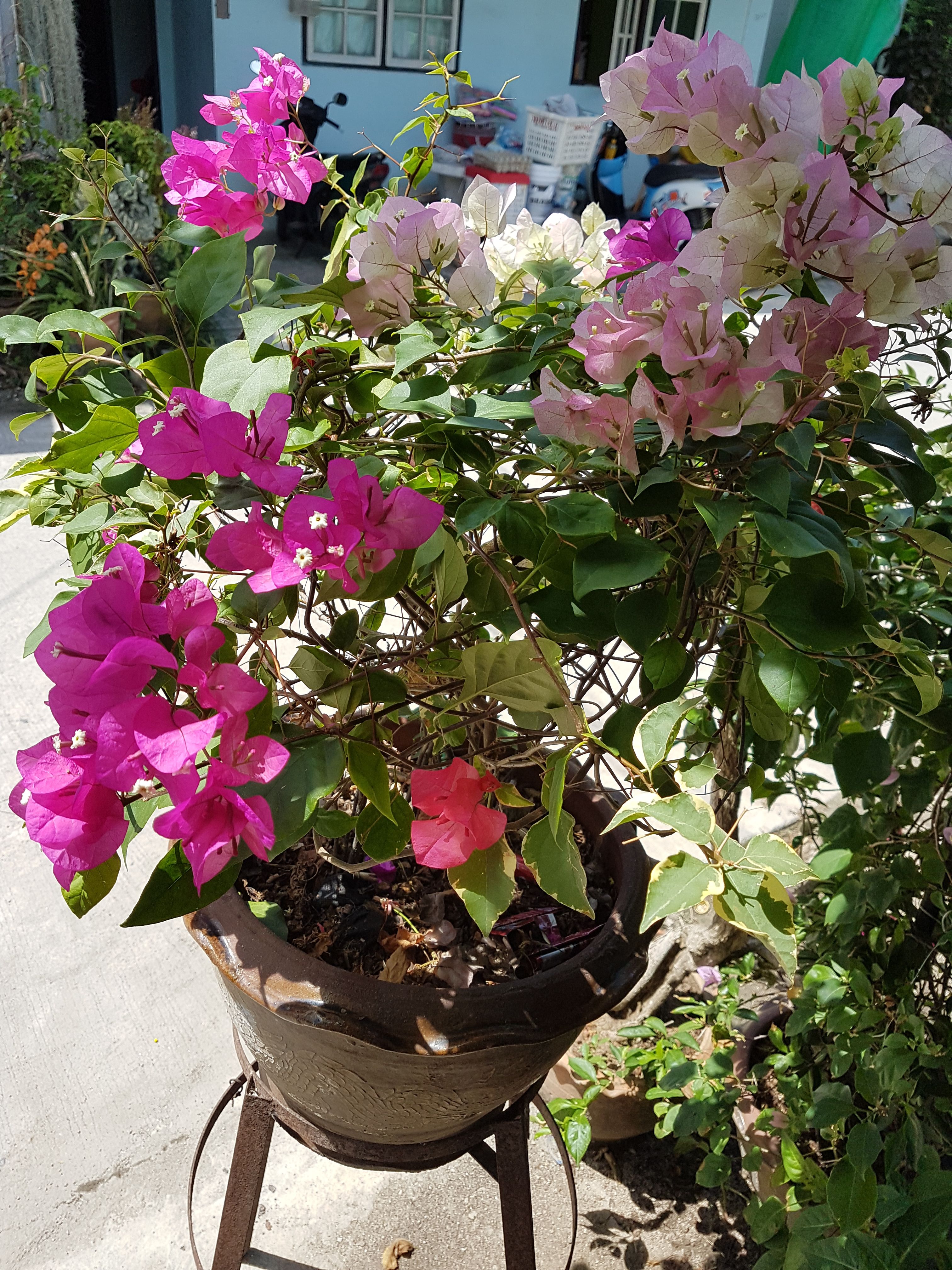 20170829_104047.jpg