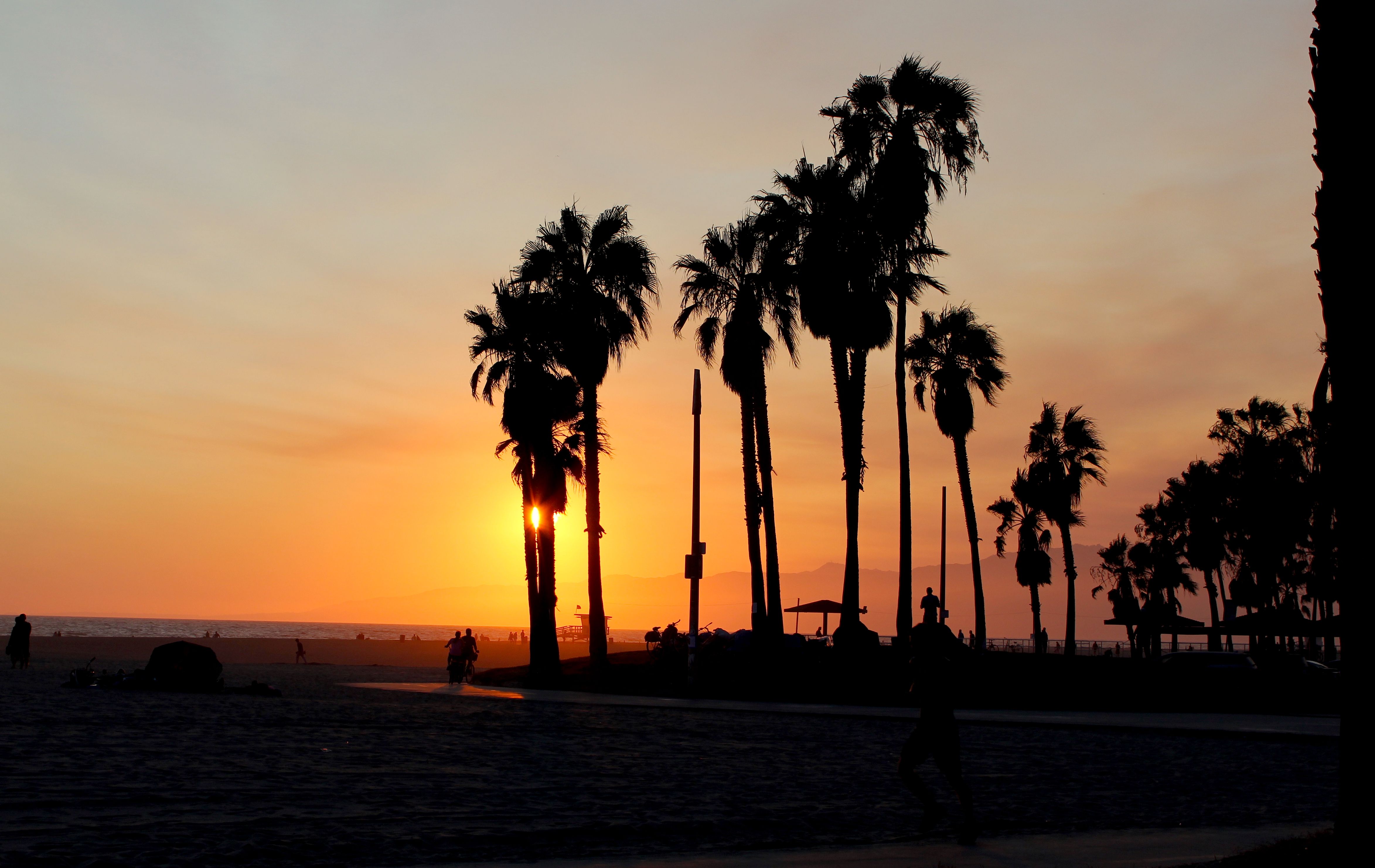 venice beach.jpg