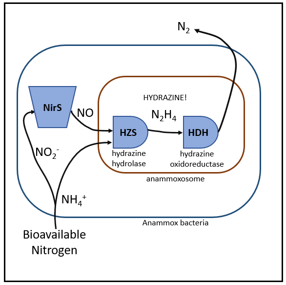 schematic.png