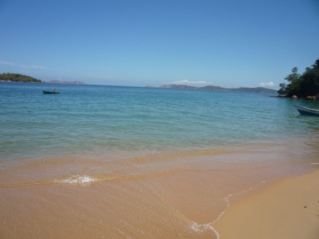 VACA_2011 200.jpg