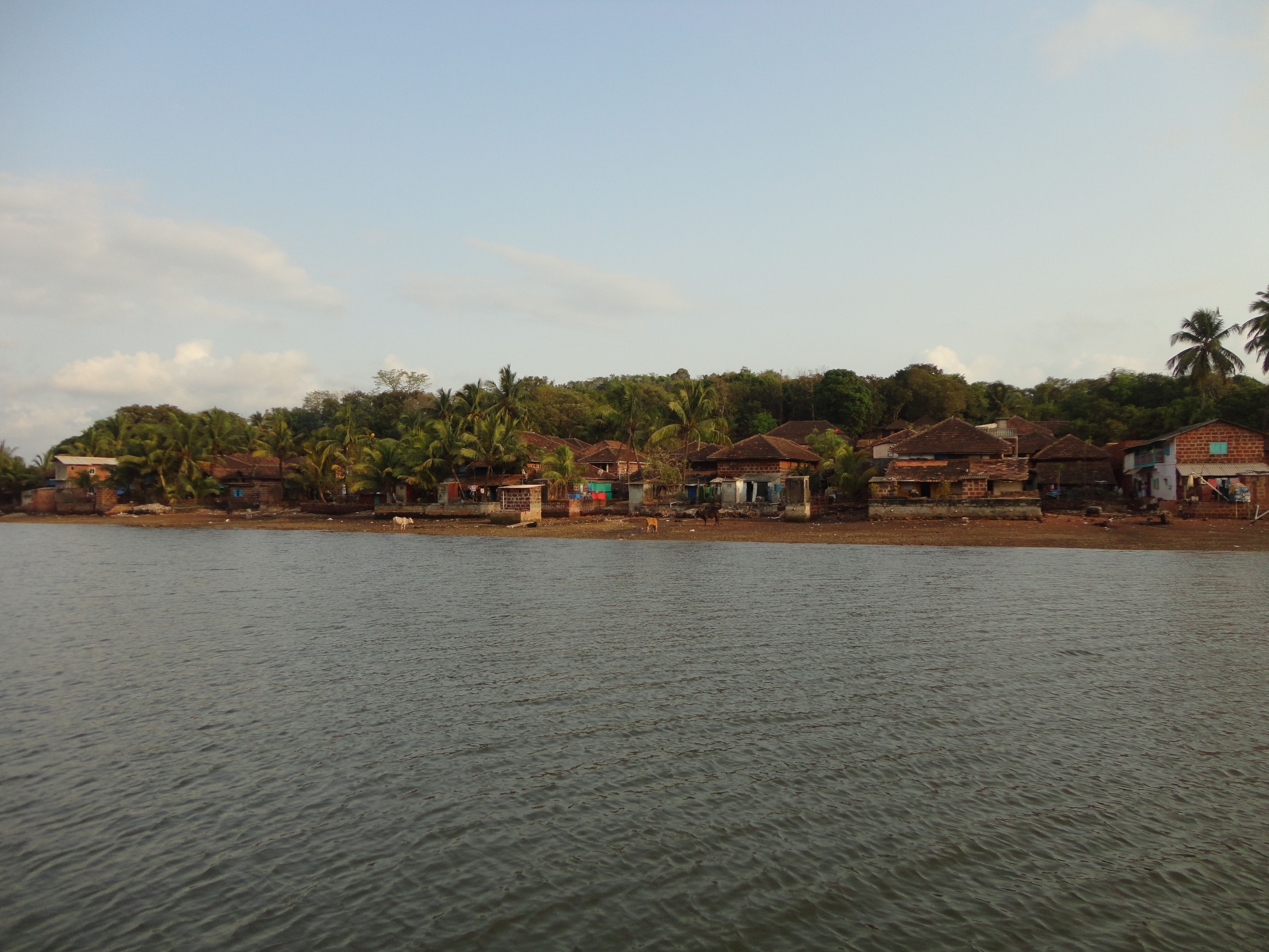 DSC07333.JPG