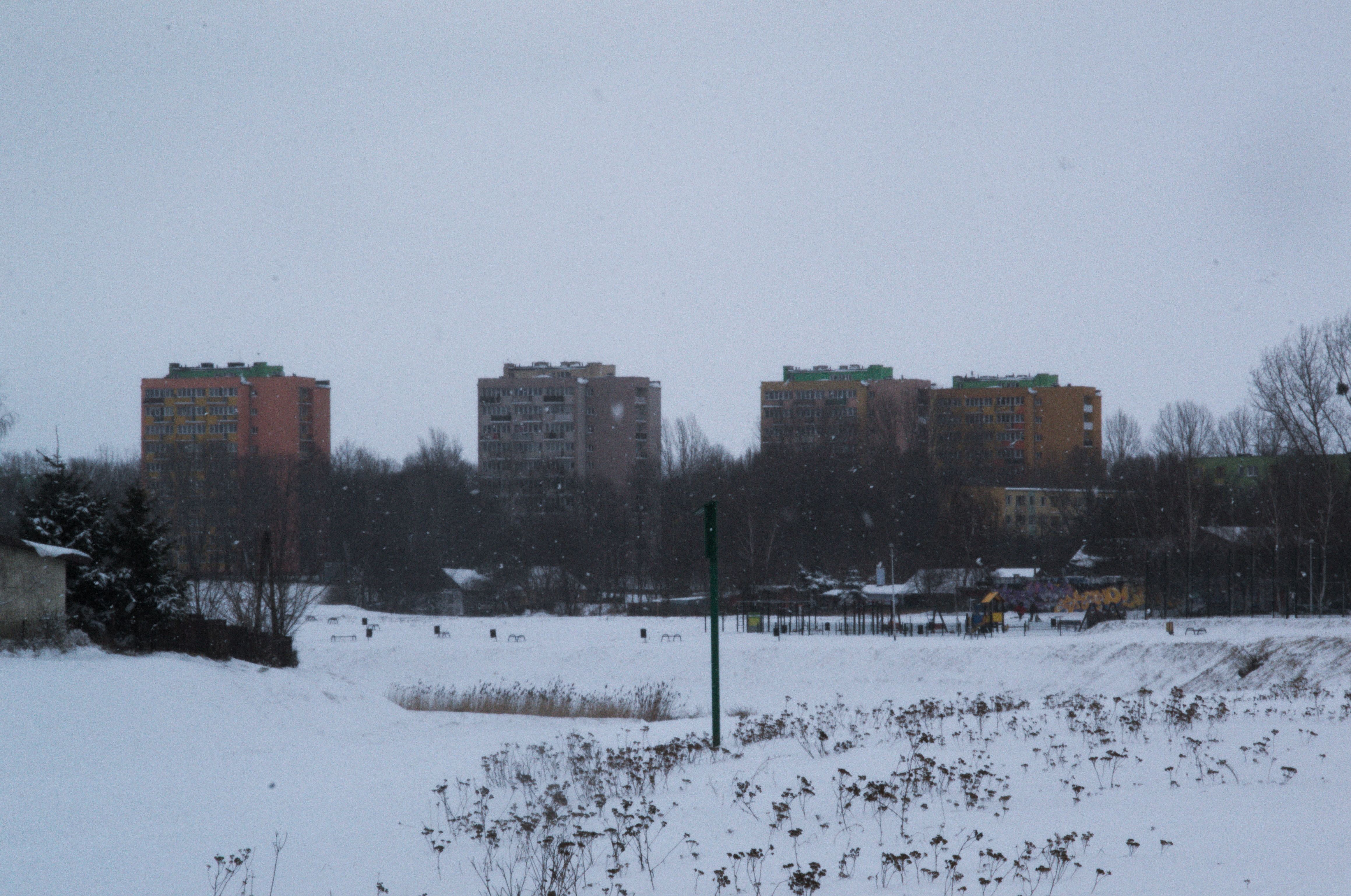 DSC_0520.NEF.jpg