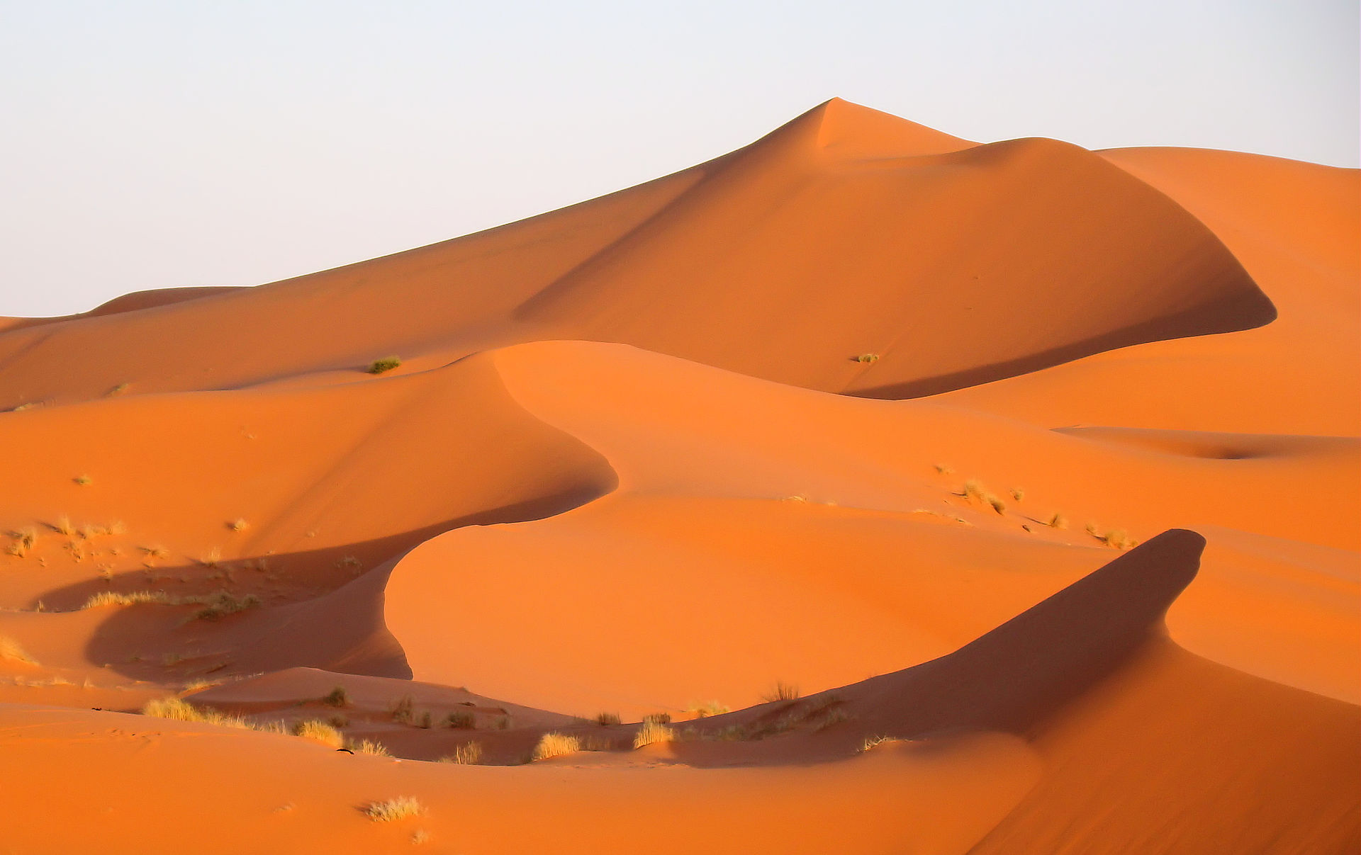 Merzouga.jpg