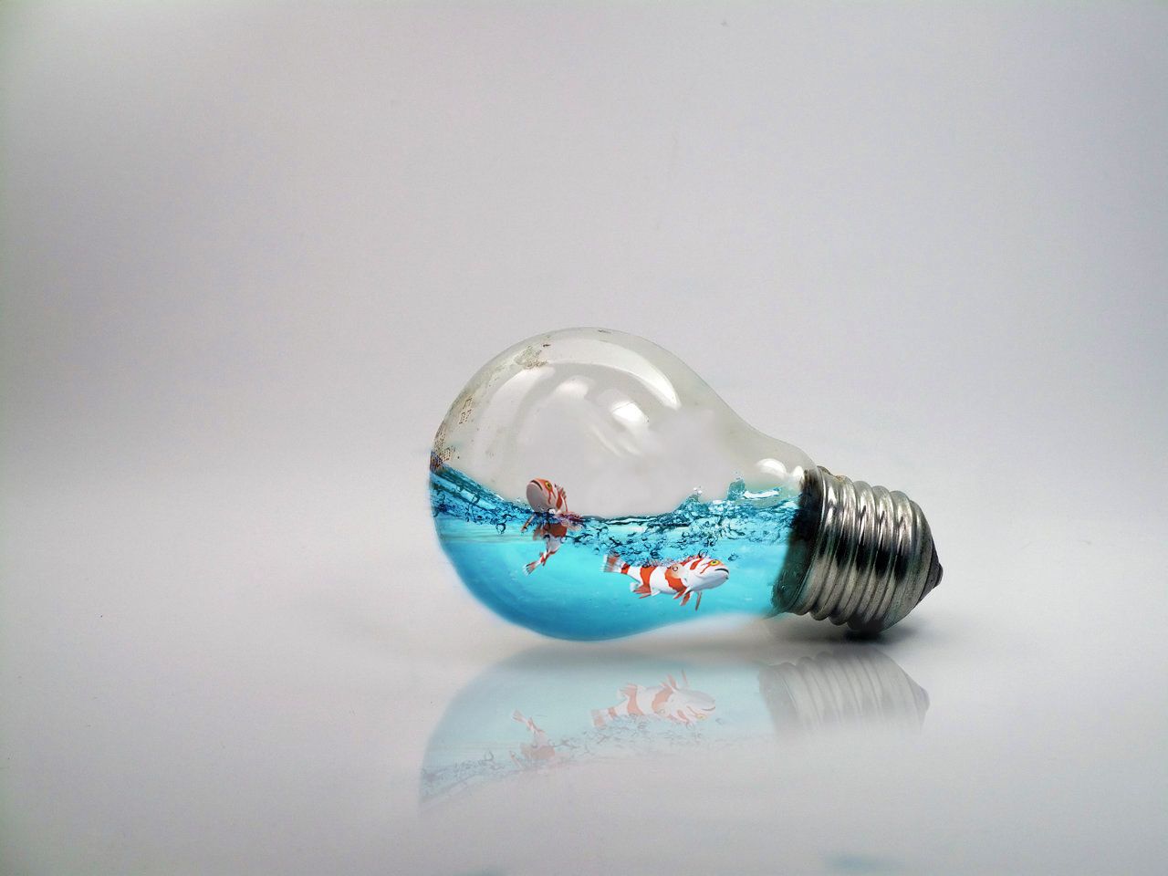 light_bulb_by_vvolny.jpg