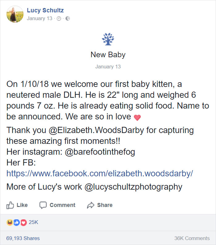 cat-birth-photoshoot-lucy-schultz-33-5a5dad8e01527__700.jpg