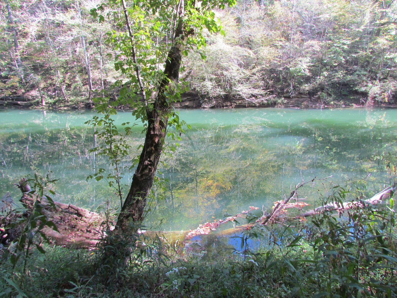 20111002 Fallen Log in CalfKiller River.jpg