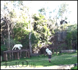 7fade38d6ddae84aedc1d52bfc1ac9c1.gif