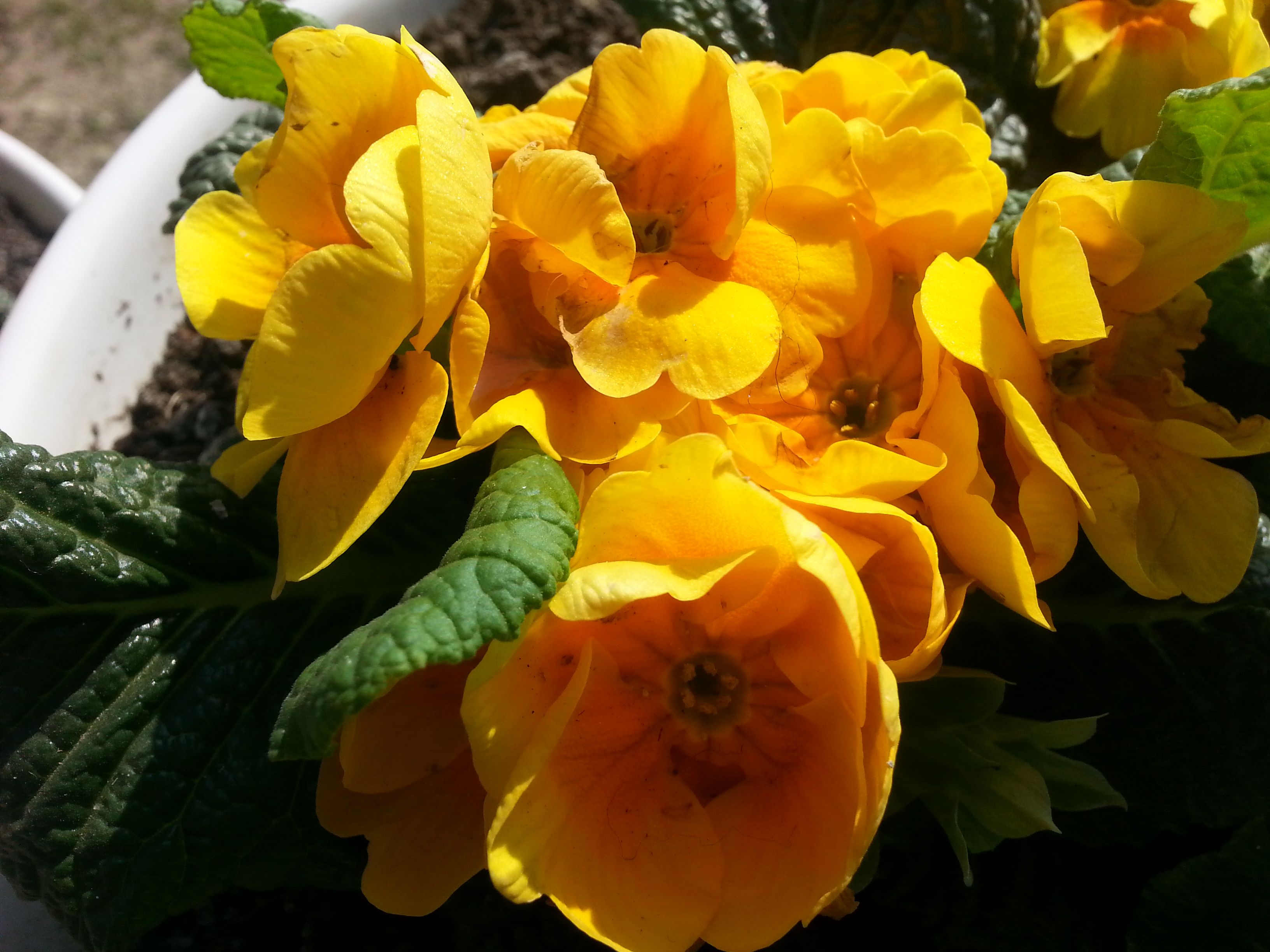 20180412_105053.jpg