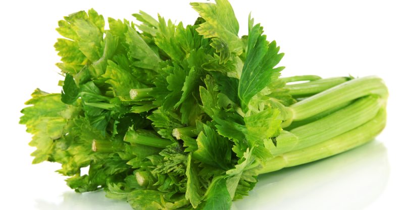 Celery-800x416.jpg