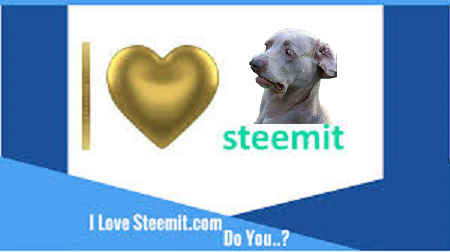 Steemit1.png