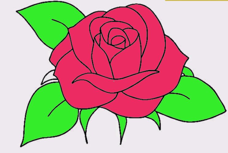 Drawing Rose Drawing Easy