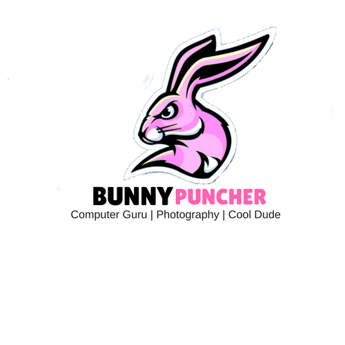 Bunny Puntcher (1).png