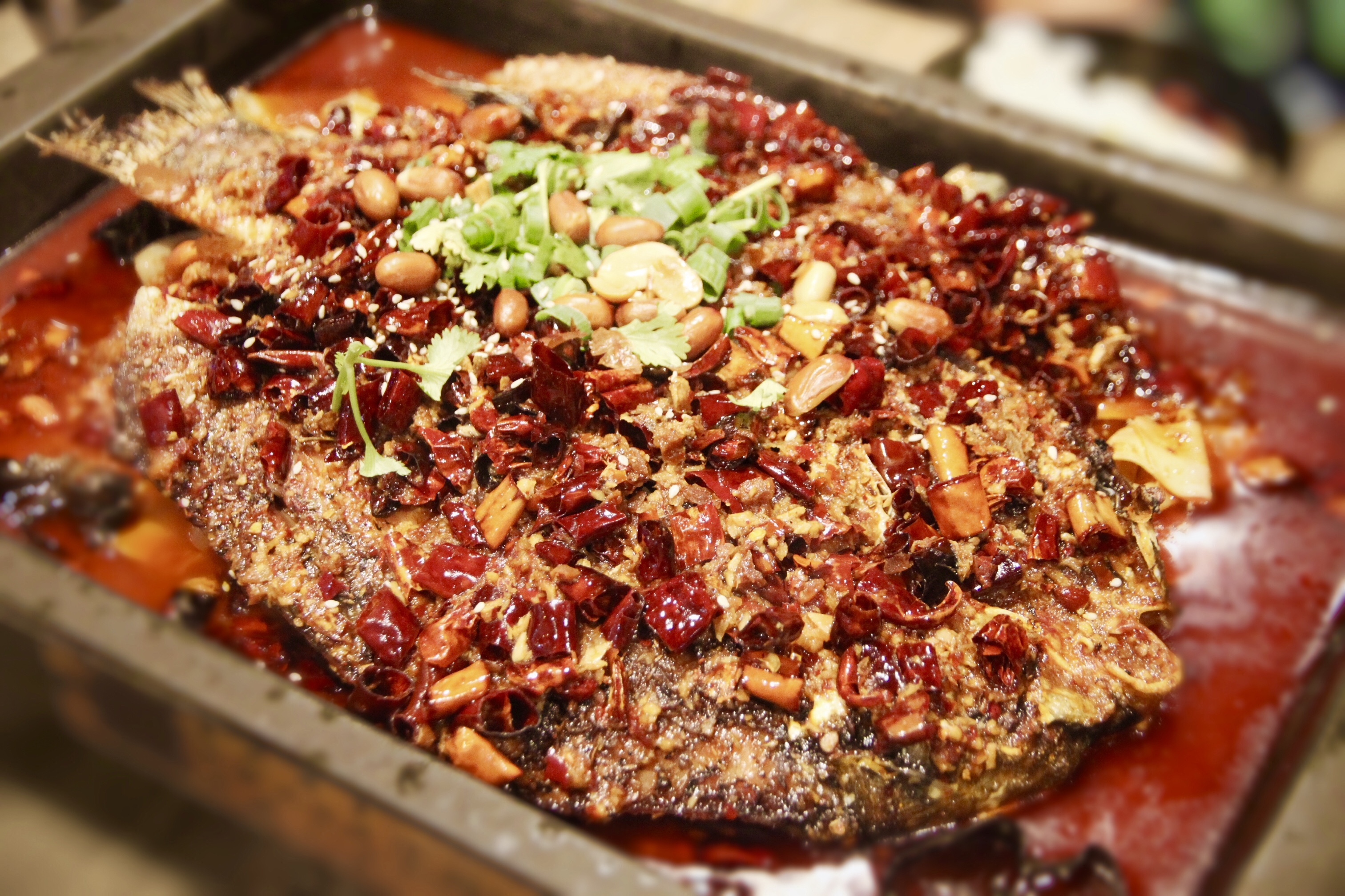 #12 图说万州烤鱼 🐟 Szechuan Style Roast Fish Recipe and the Legend Behind It
