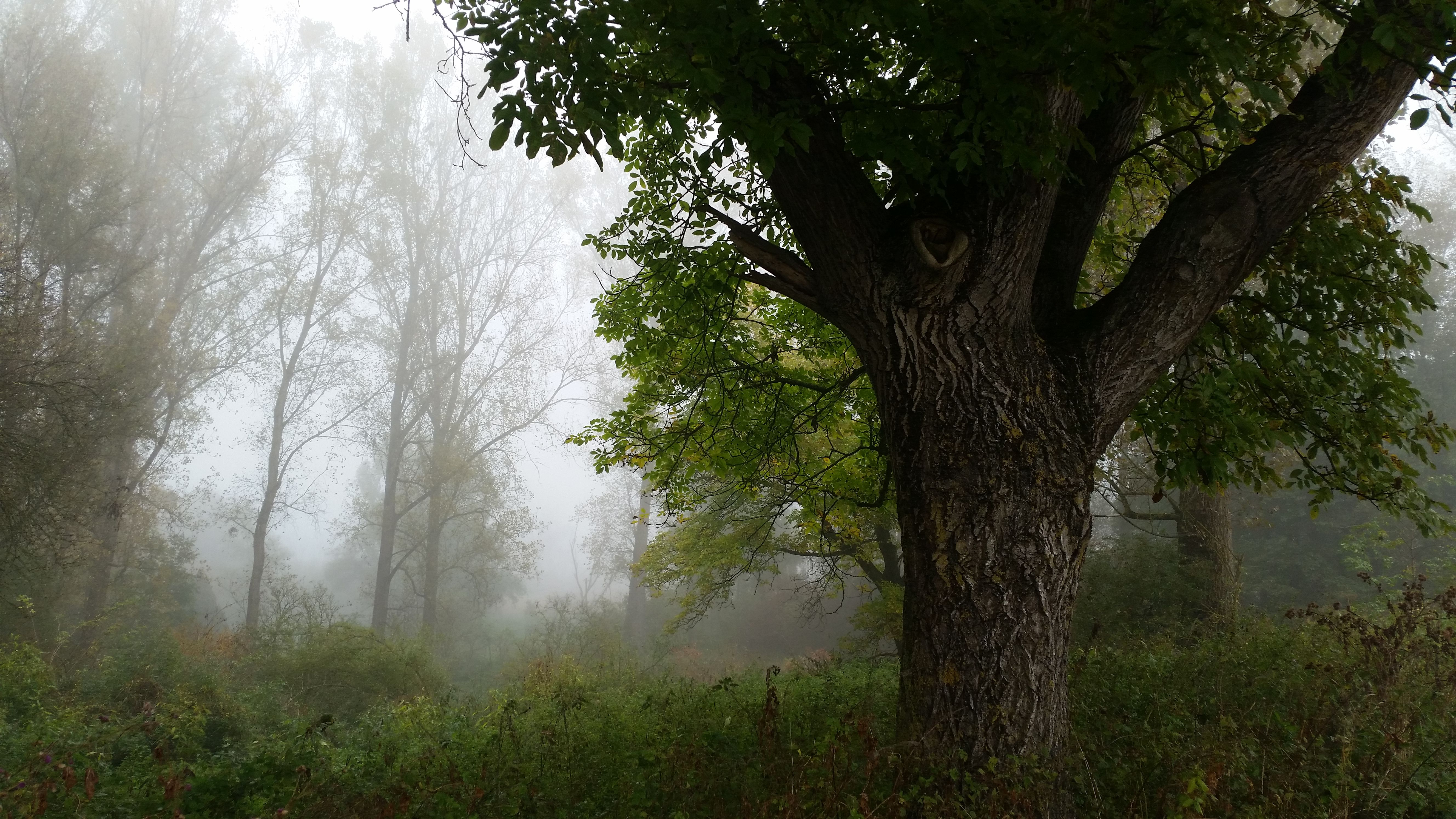20171015_104142.jpg