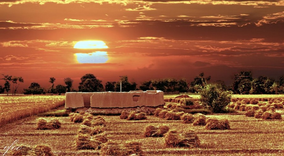 Stacks-of-harvested-wheat-crop-lying-in-the-fields-Photos-of-Pakistani-villages.jpg
