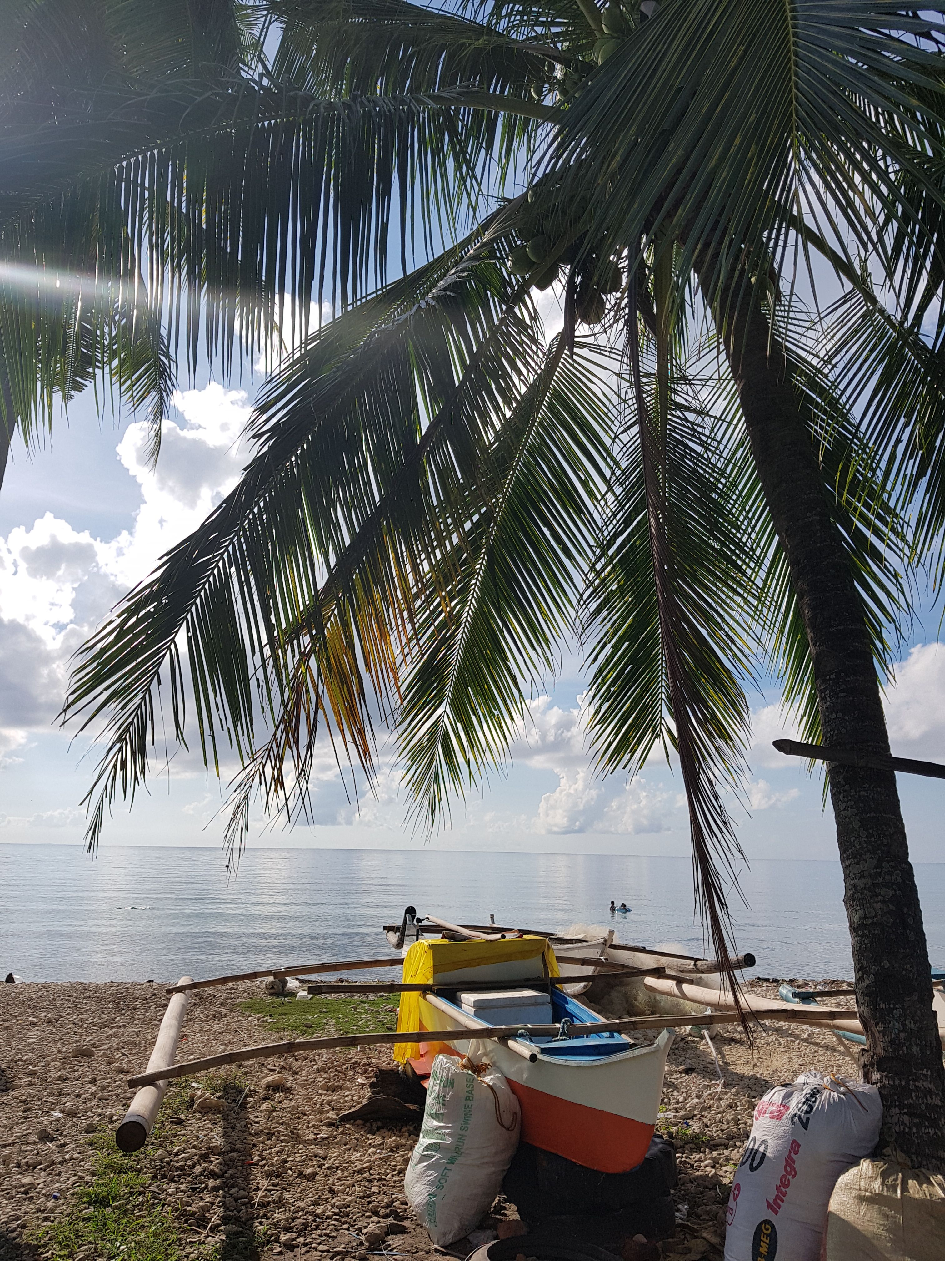 20180520_072908.jpg
