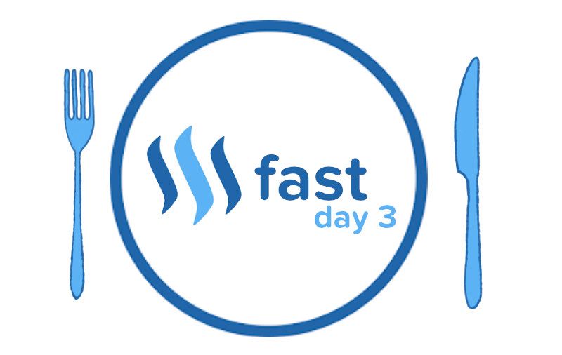 day 3 steemit fast.jpg