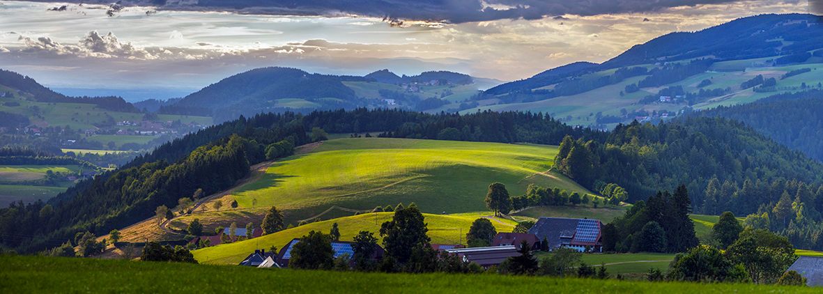 Schwarzwald Pan3.jpg